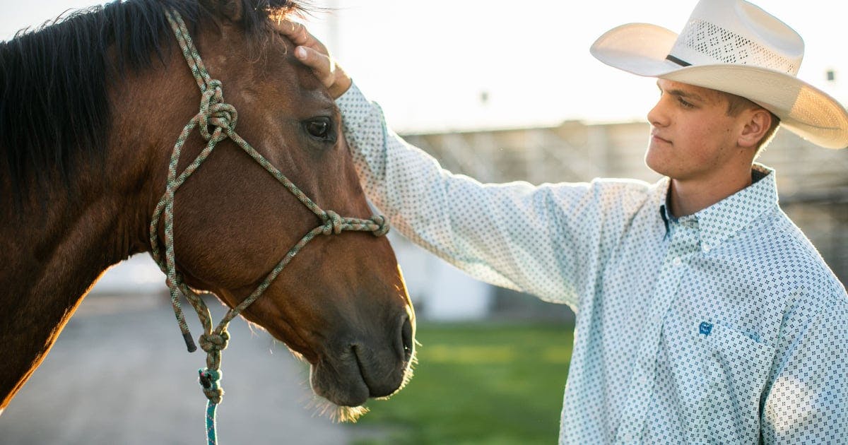 How much protein do horses need in their diets?