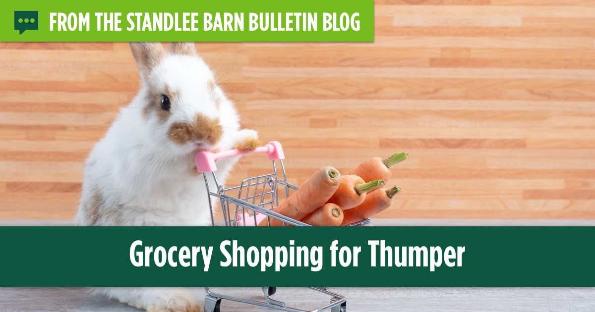 Grocery Shopping for Rabbit Food