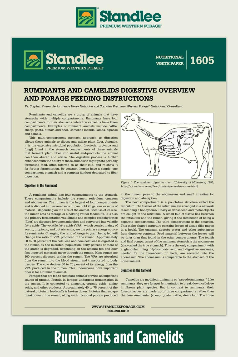 Ruminants & Camelids Digestive Overview, Feeding Instruction
