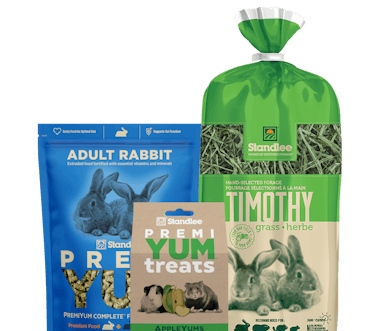 Adult Rabbit product collage