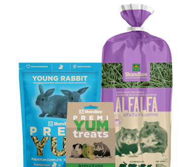 Young Rabbit product collage