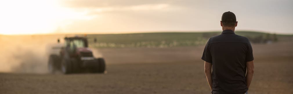 Dusty field