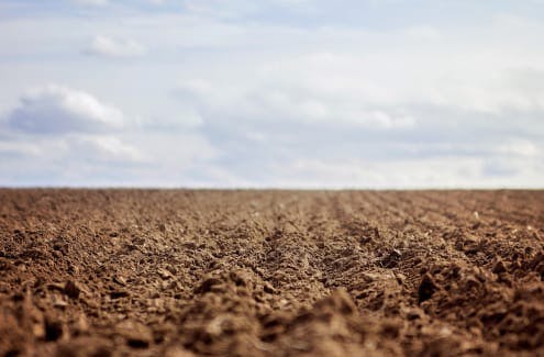 Empty field