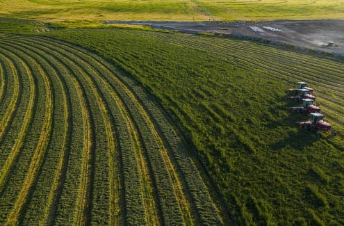 Plowing field
